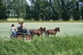 /album/menrit-04-06-2011/a06-04-2011-116-jpg/